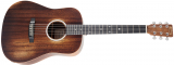 Martin: D Jr-10E StreetMaster