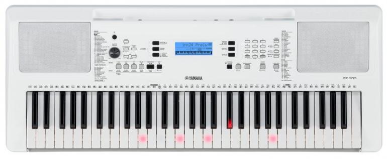 Yamaha EZ-300