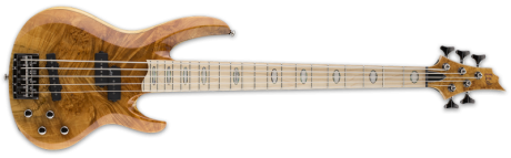 ESP/LTD: RB-1005BM HN