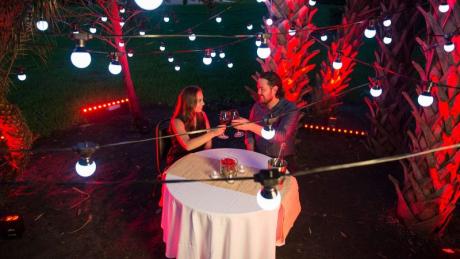 Chauvet DJ: Festoon