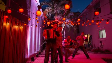 Chauvet DJ: Festoon